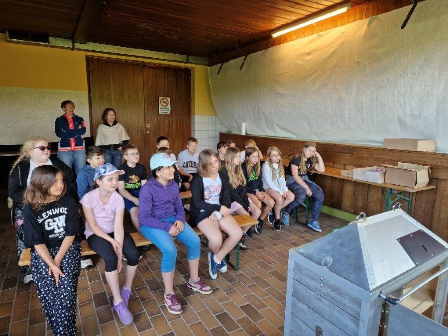 VS Fehring VS Fehring