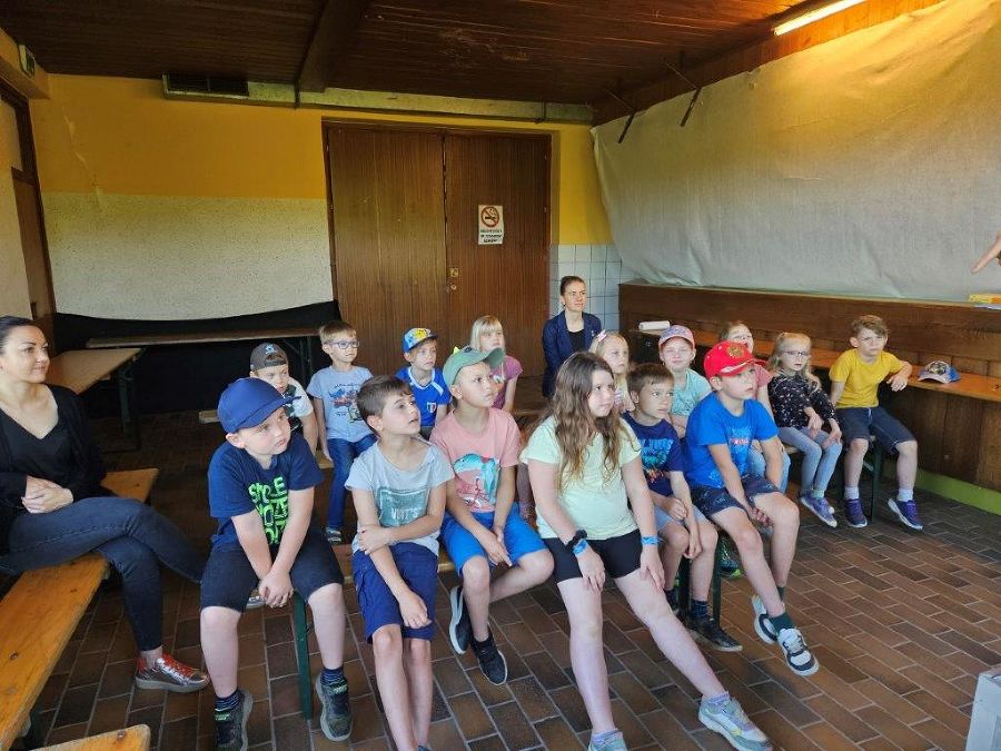 VS Hohenbrugg   VS Breitenfeld VS Hohenbrugg   VS Breitenfeld